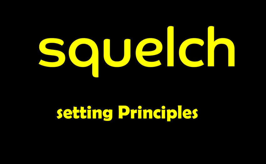 Principles of setting the squelch level